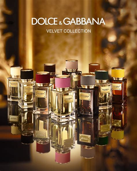 velvet perfume dolce gabbana|dolce and gabbana perfume price.